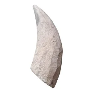 প্রিমিয়াম সিঙ্গেল নোড়া(বাছাই করা)