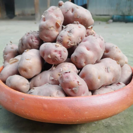 শিল বিলাতি আলু (রংপুরের বিখ্যাত)