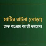 মাটির বাটনা হাতে পাওয়ার পর কী করবেন? | প্রাথমিক ব্যবহারবিধি