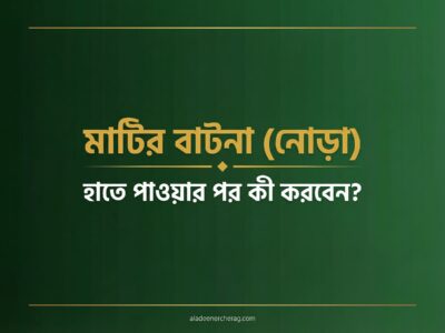 মাটির বাটনা হাতে পাওয়ার পর কী করবেন? | প্রাথমিক ব্যবহারবিধি