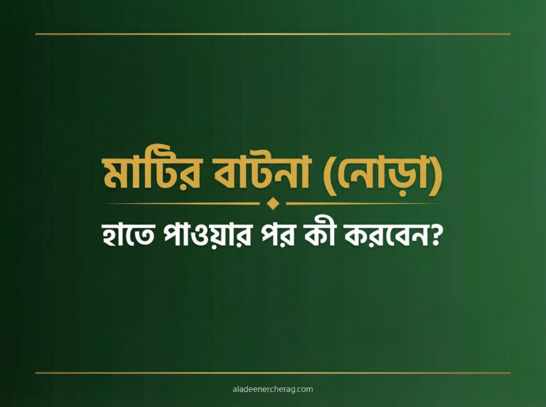 মাটির বাটনা হাতে পাওয়ার পর কী করবেন? | প্রাথমিক ব্যবহারবিধি